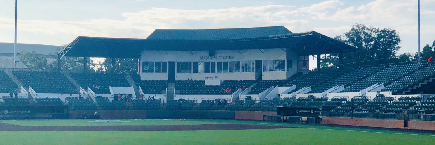 Scott Fillmer's banner