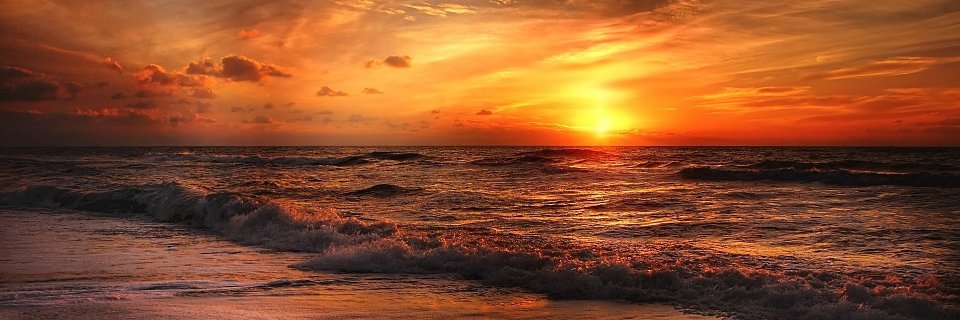 Gay Porn's banner