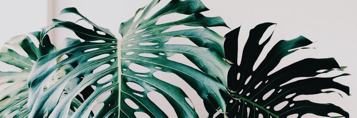 ariela🥀's banner