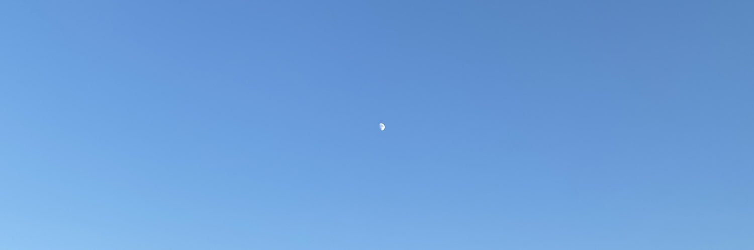 月ノウサギ's banner