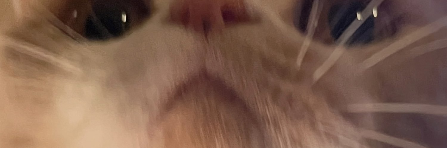 ACAねこスキル (ずっと真夜中でいいのに。)'s banner