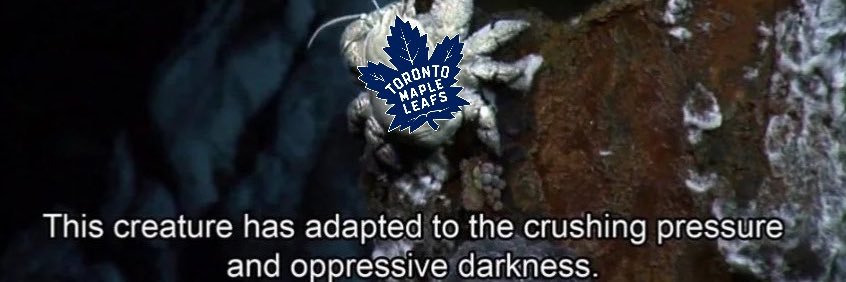 THE PASSION™ -ATLEY INFURIATED Toronto Sports Fan's banner