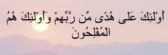 صلاح المسباح's banner