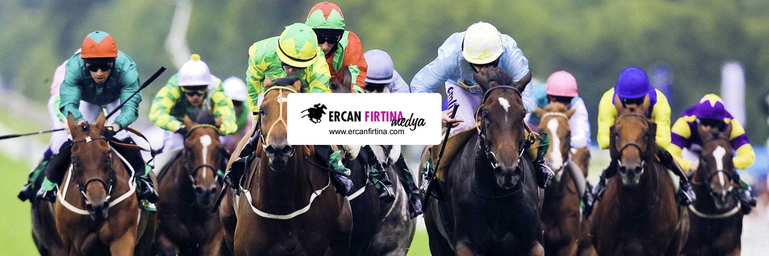 Ercan Fırtına's banner