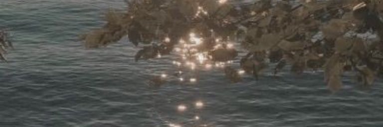 ash's banner