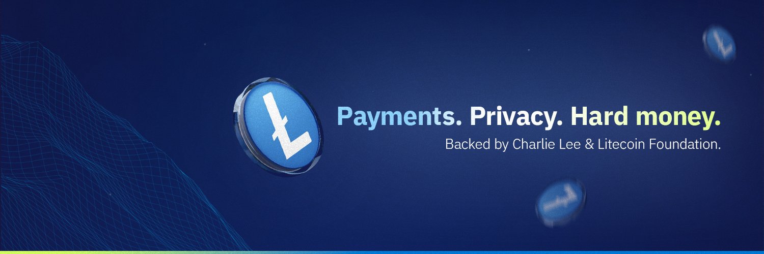 Lite Strategy's banner