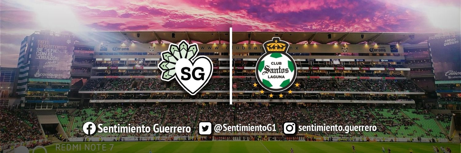Sentimiento Guerrero.'s banner