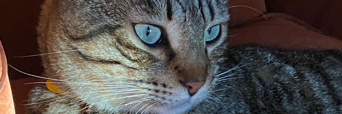 Gᴇòʀɢɪᴀ's banner