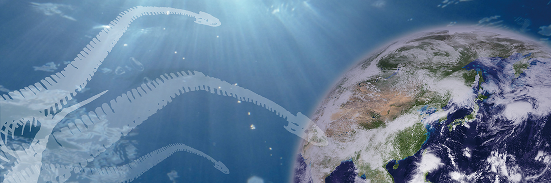 【公式】蒲郡市生命の海科学館's banner