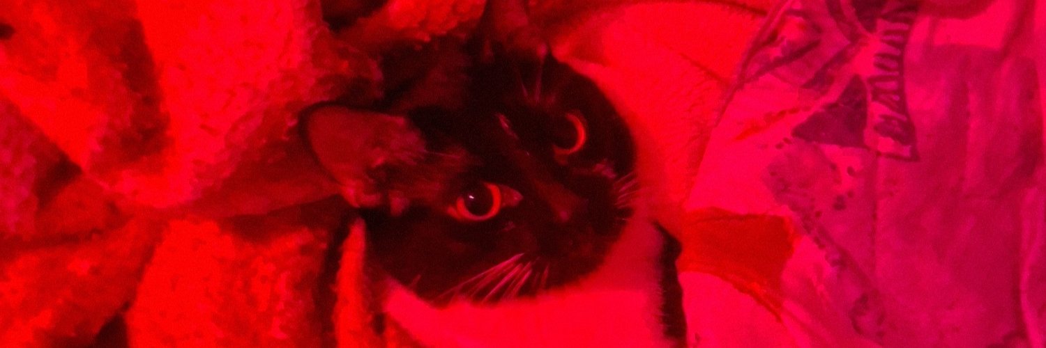 Lara Jenn 🐦‍⬛'s banner