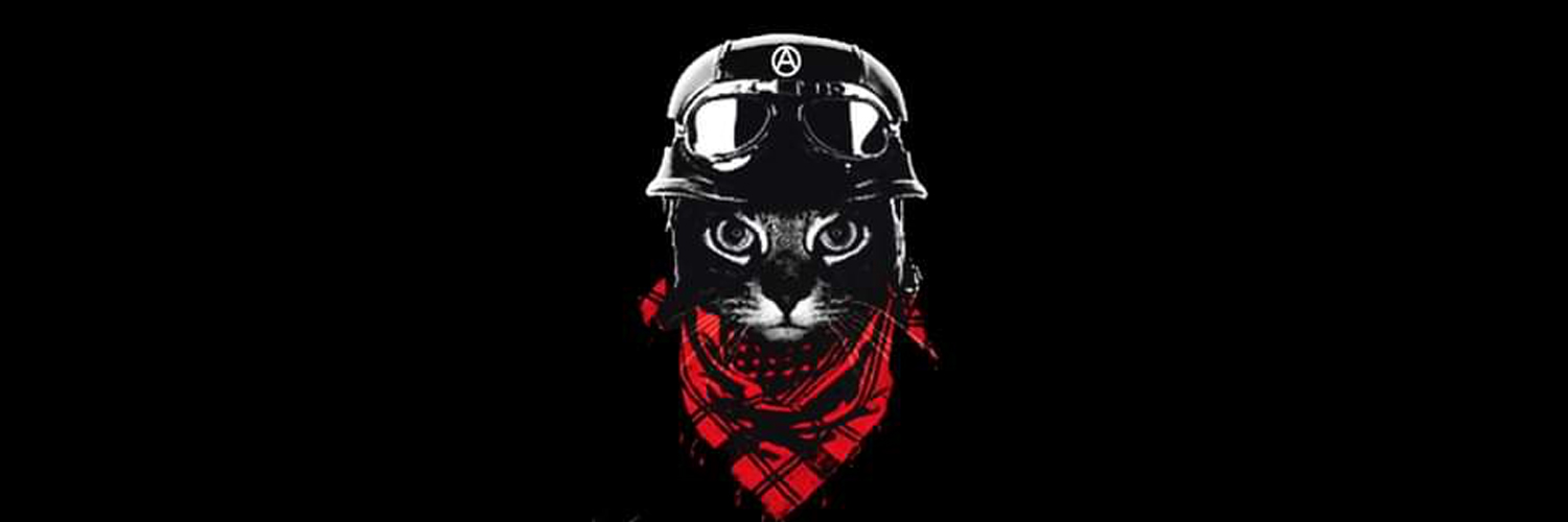 Spider_Jerus@lem Ⓐ ⏚ 🏴🇵🇸 🇳🇨 🐈‍⬛🔻✊ 🕷🕸🏴‍☠️'s banner
