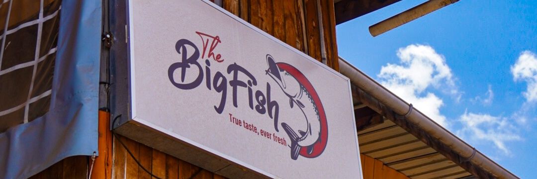 BIGFISH🐠's banner