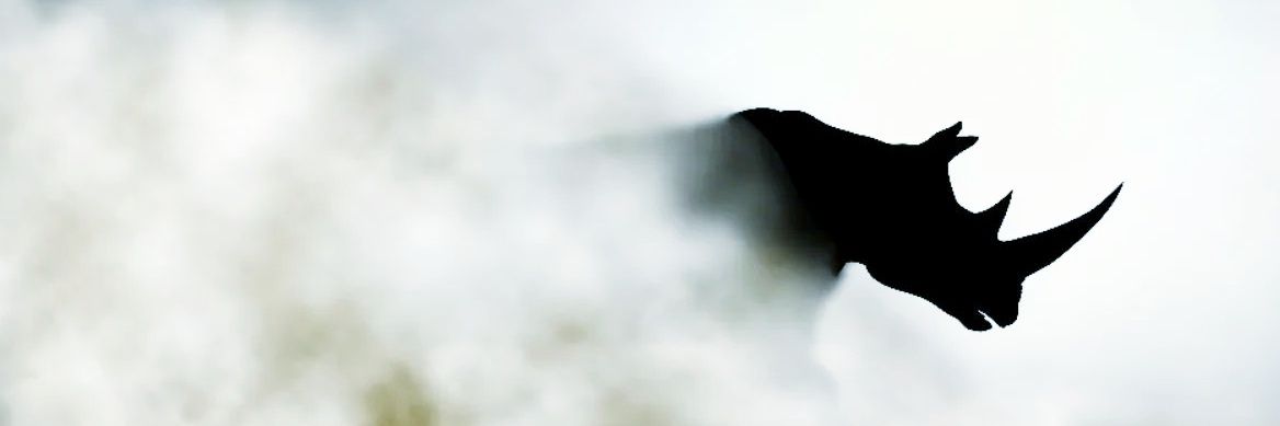 Xgrosz's banner