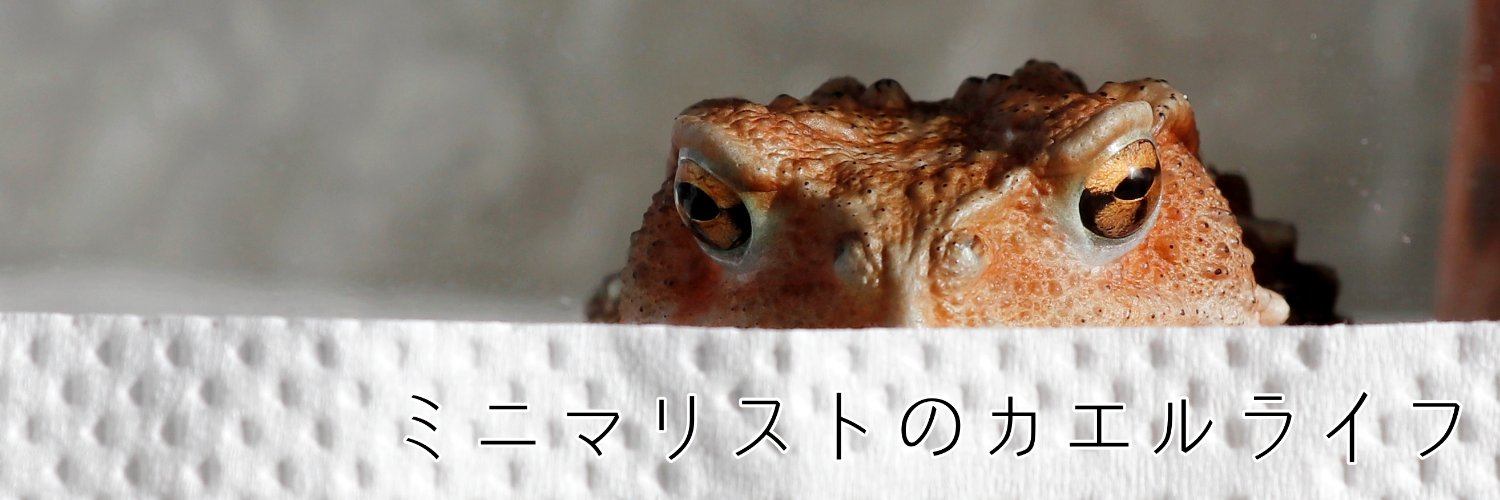 爬虫類ブレイク's banner