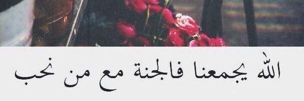 نوره الشهري ~ 💙's banner