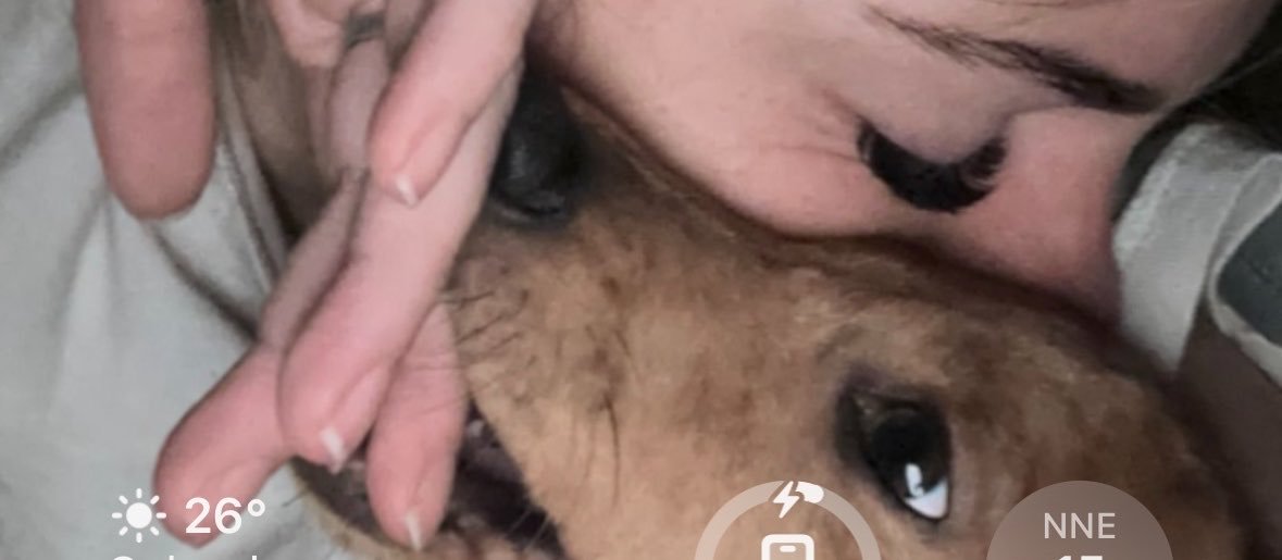 ᴇʟ_ᴍᴀɪꜱɪTᴏ's banner