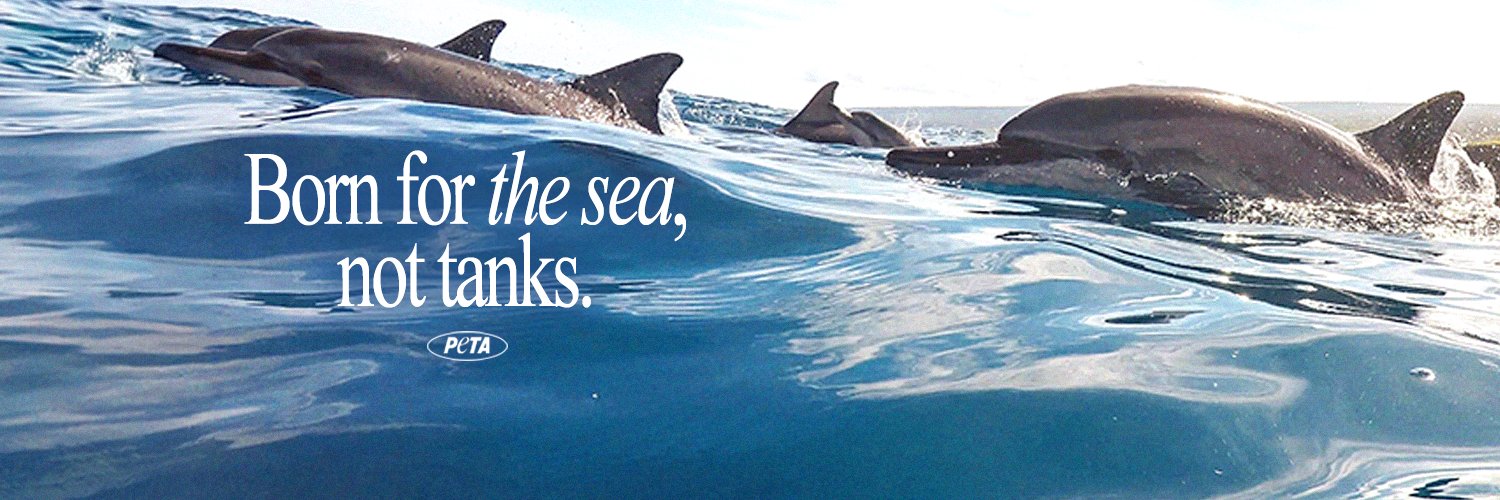 PETA's banner