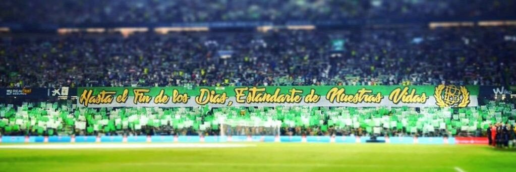 Fanáticos del Betis's banner