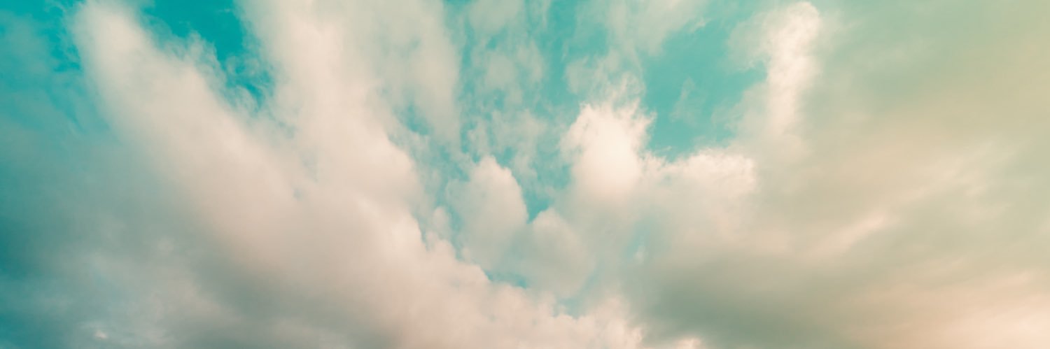 Shenelle Rodrigo's banner