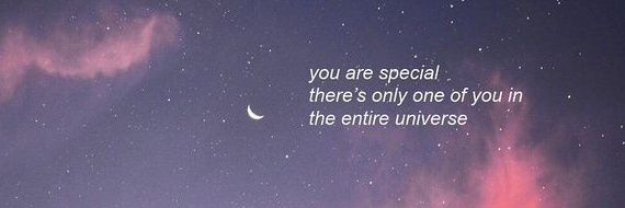🌙's banner
