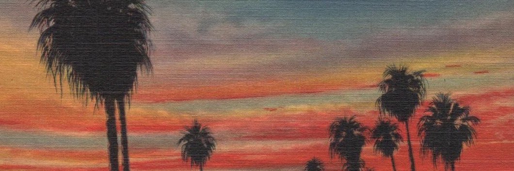 sophia 𓆝 𓆟's banner