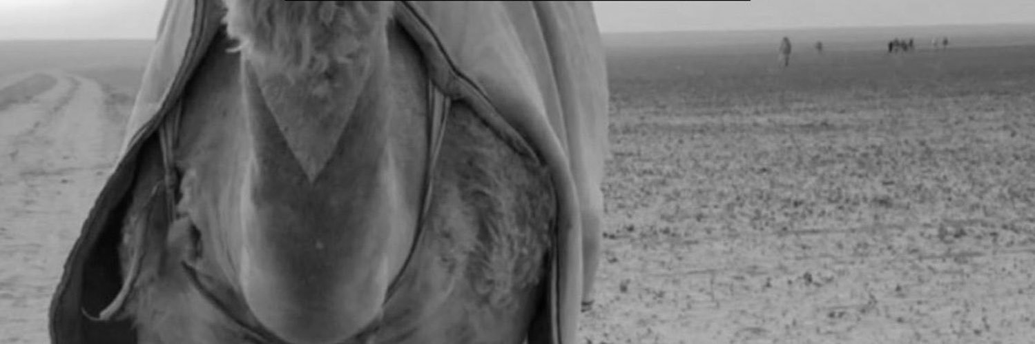 َ's banner