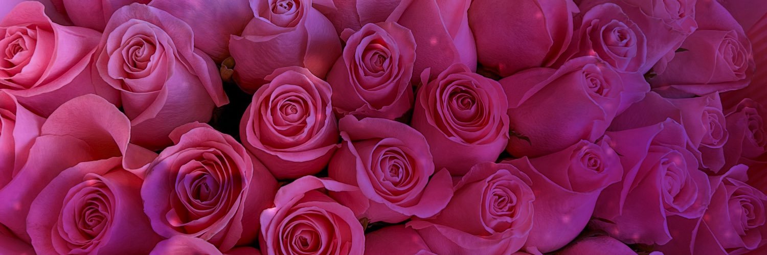 💖🌸 𝒥𝑒𝓃🌸💖's banner