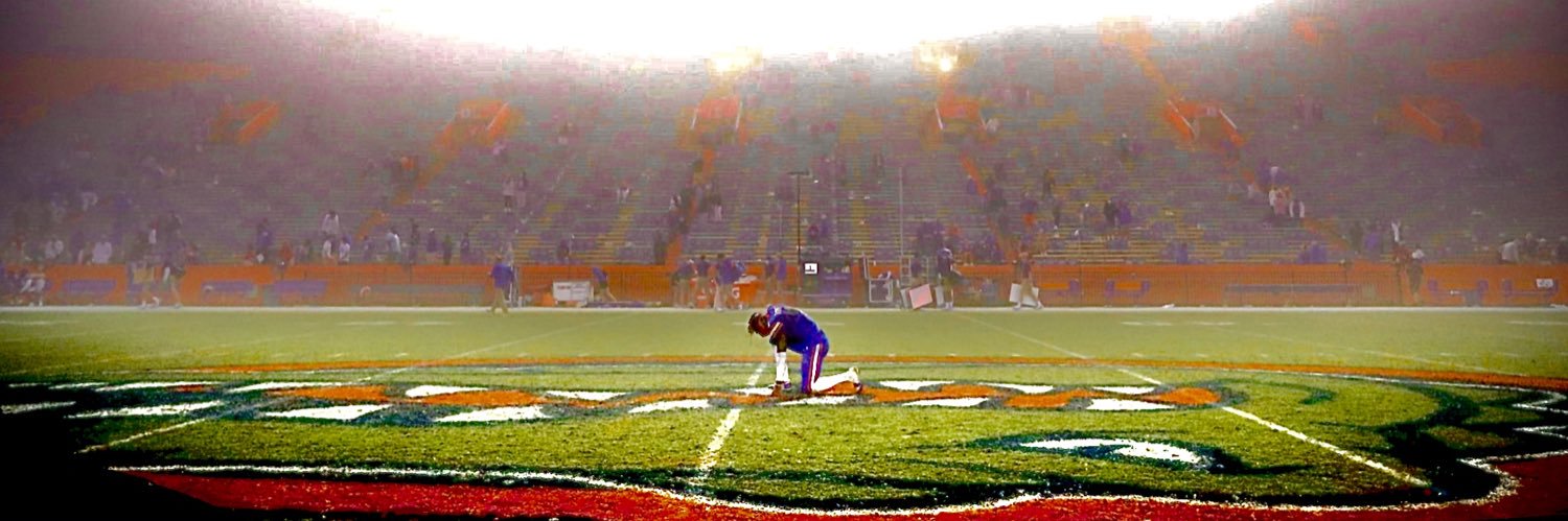 THE SWAMP's banner