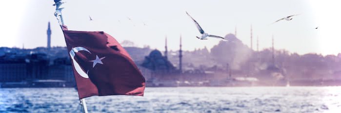 Doç. Dr. Safa KOÇOĞLU's banner