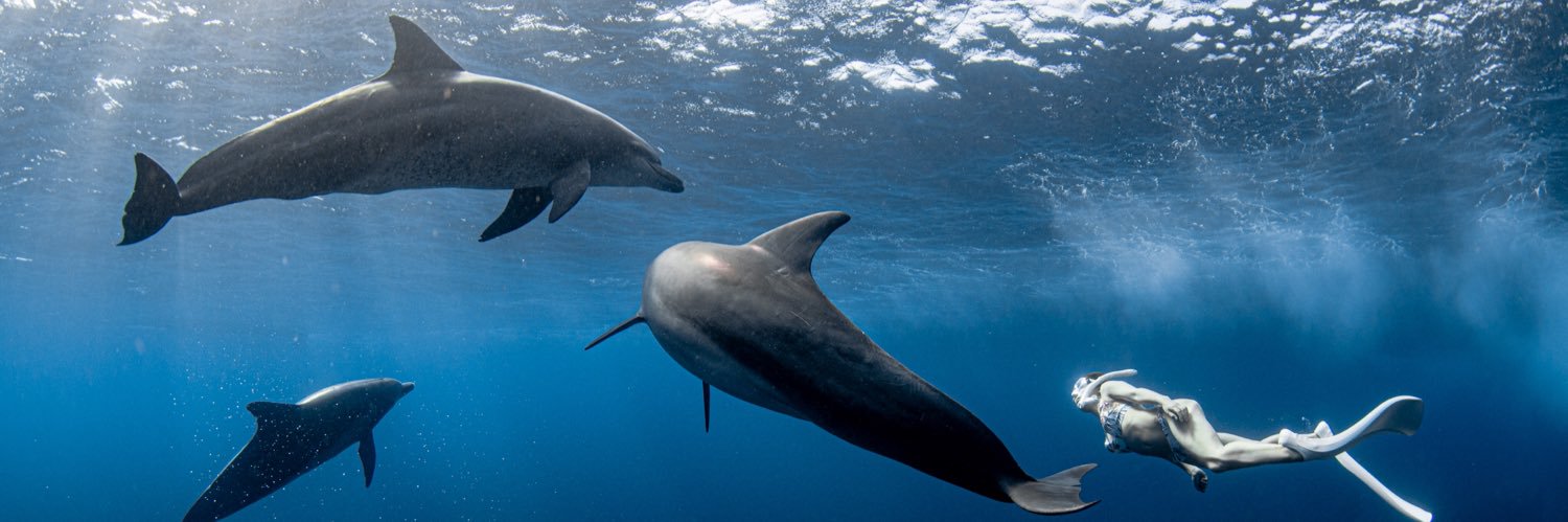 まなてぃ🐬's banner