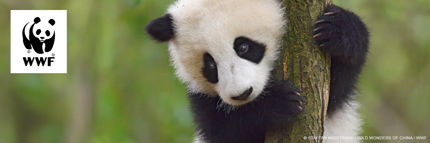 WWF Suomi's banner