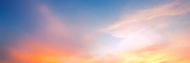 viraz's banner