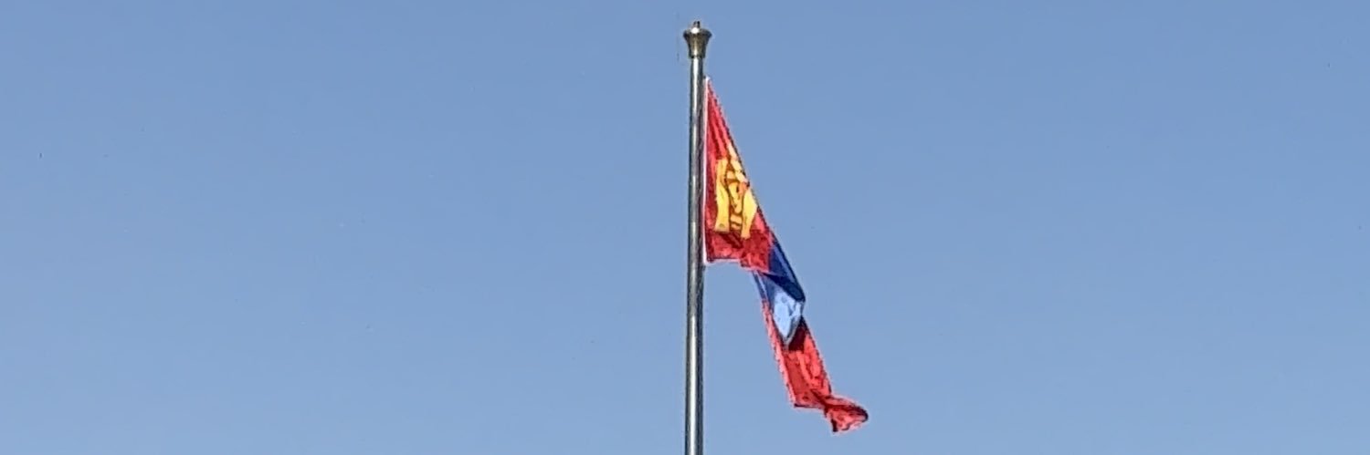 Tsegi's banner