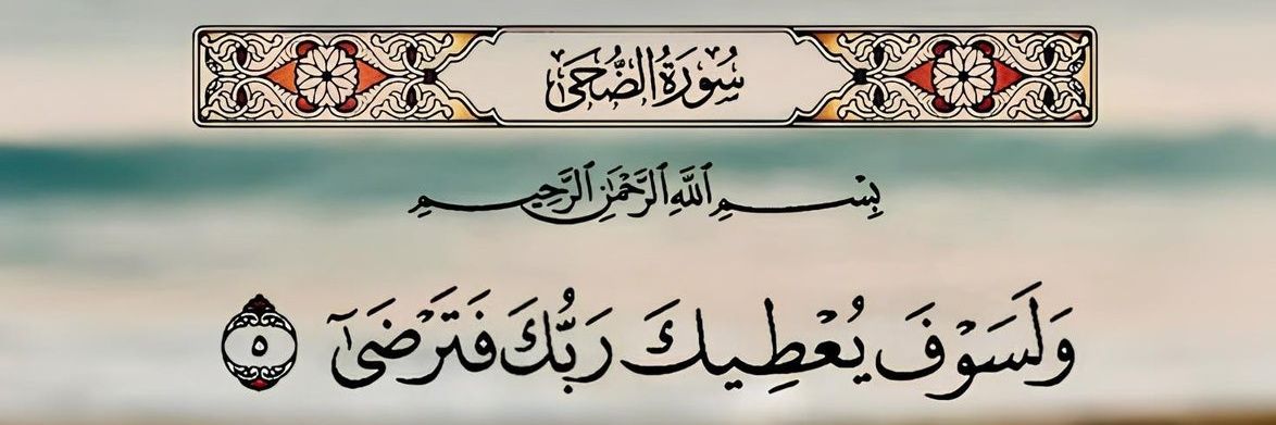 صنعانية's banner