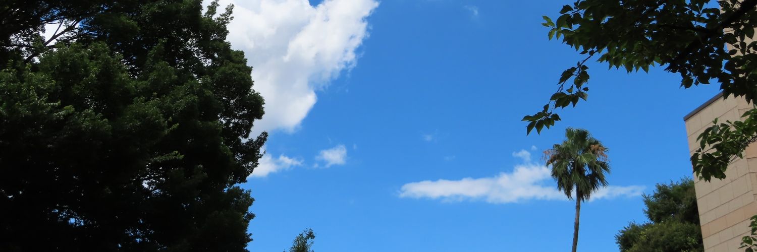 恵香's banner