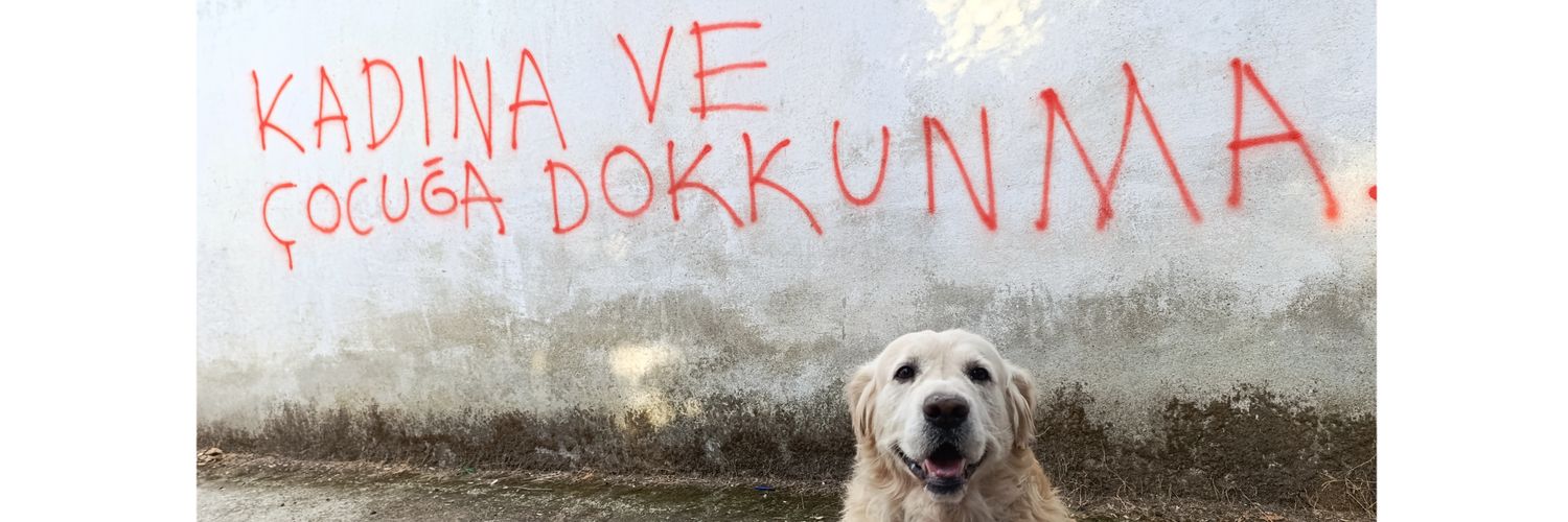Nilgün Taşkıran's banner