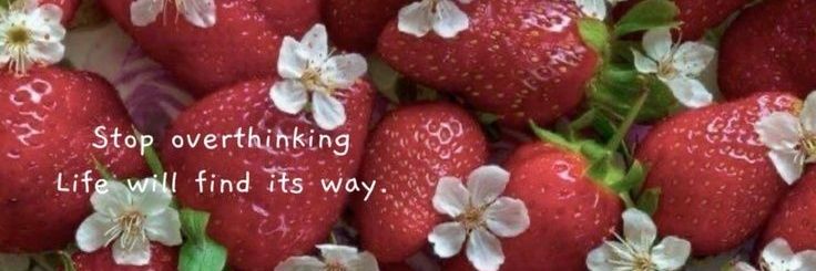 Soren 🐈‍⬛️🍓☆°•'s banner