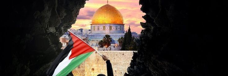 🕊️ fatma Laouadji فاطمة لعواجي 🇵🇸🇩🇿🔻's banner