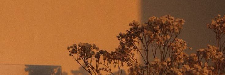giovanna's banner