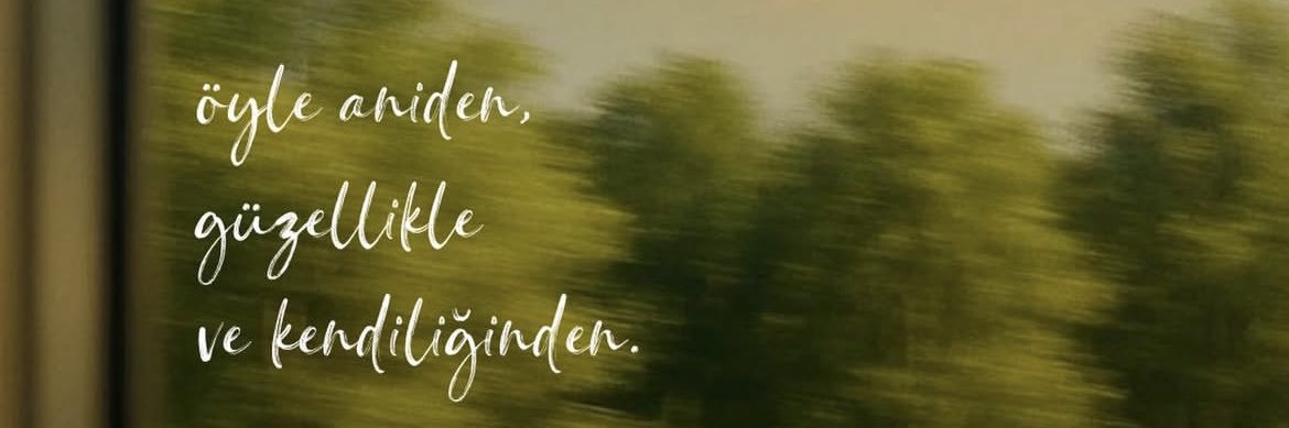 Tugce Peker (tugcepekerpsy.bsky.social)'s banner