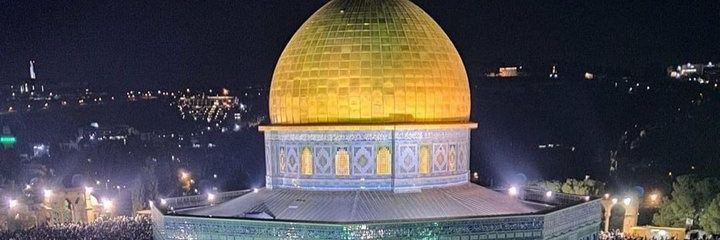 الوليد بن يحيى's banner