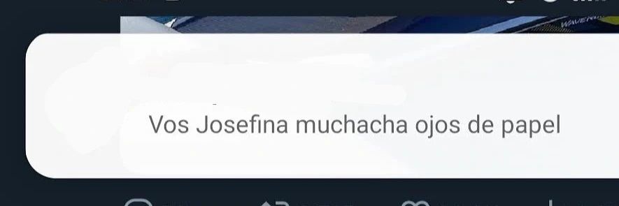 Polaca's banner