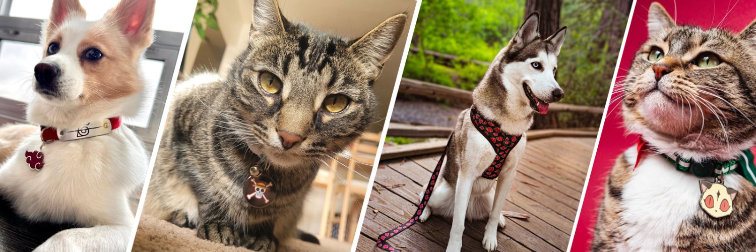 Pawsonify 🐾's banner