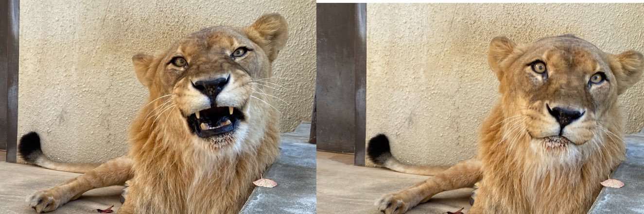 小諸市動物園【公式】's banner