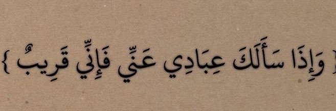 عائشه الشهري's banner