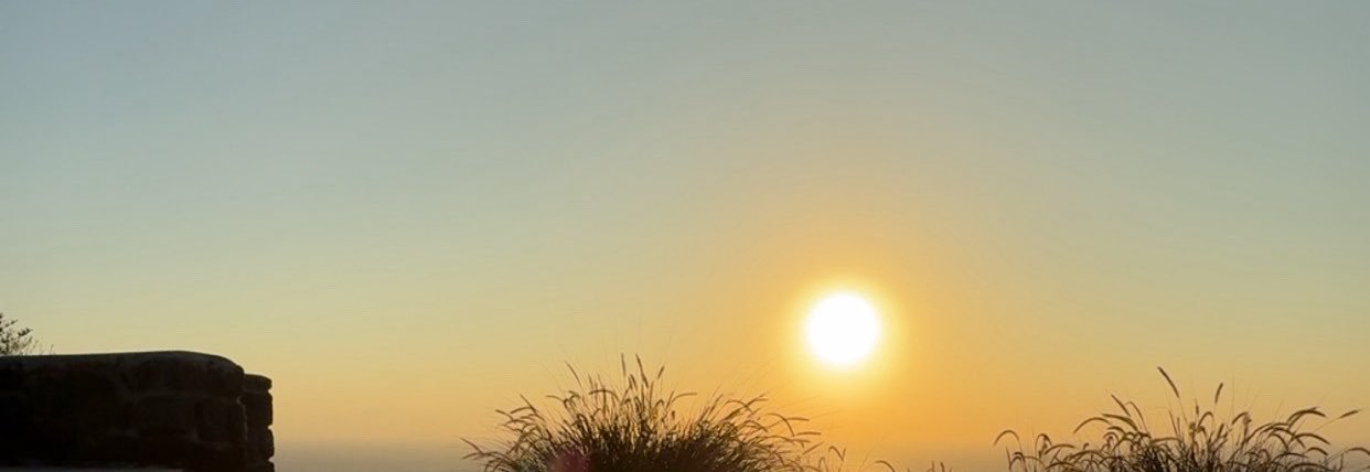 Puni's banner