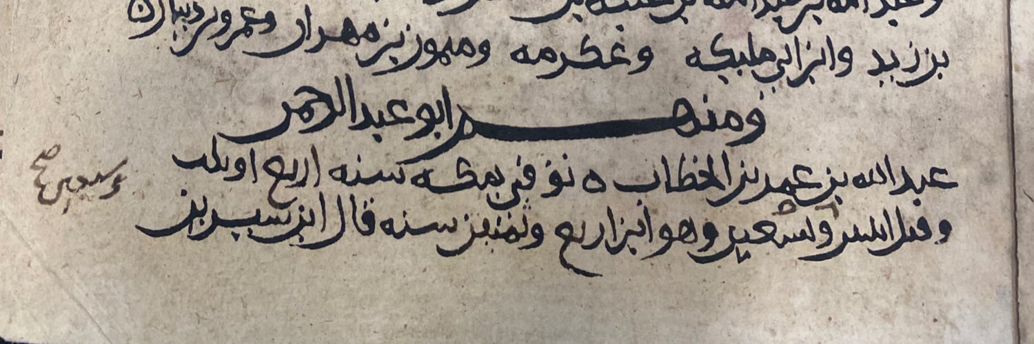 عمرو عبد العظيم الحُوَيني's banner