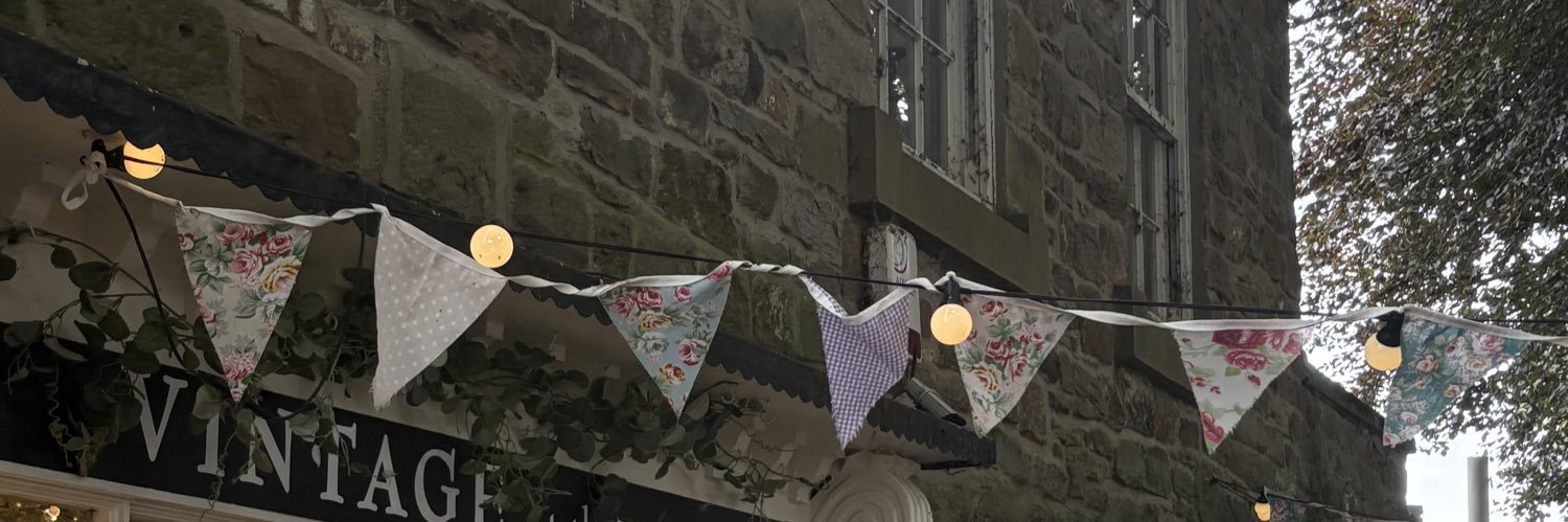 dem 🦭's banner