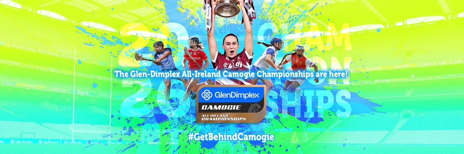 The Camogie Association's banner