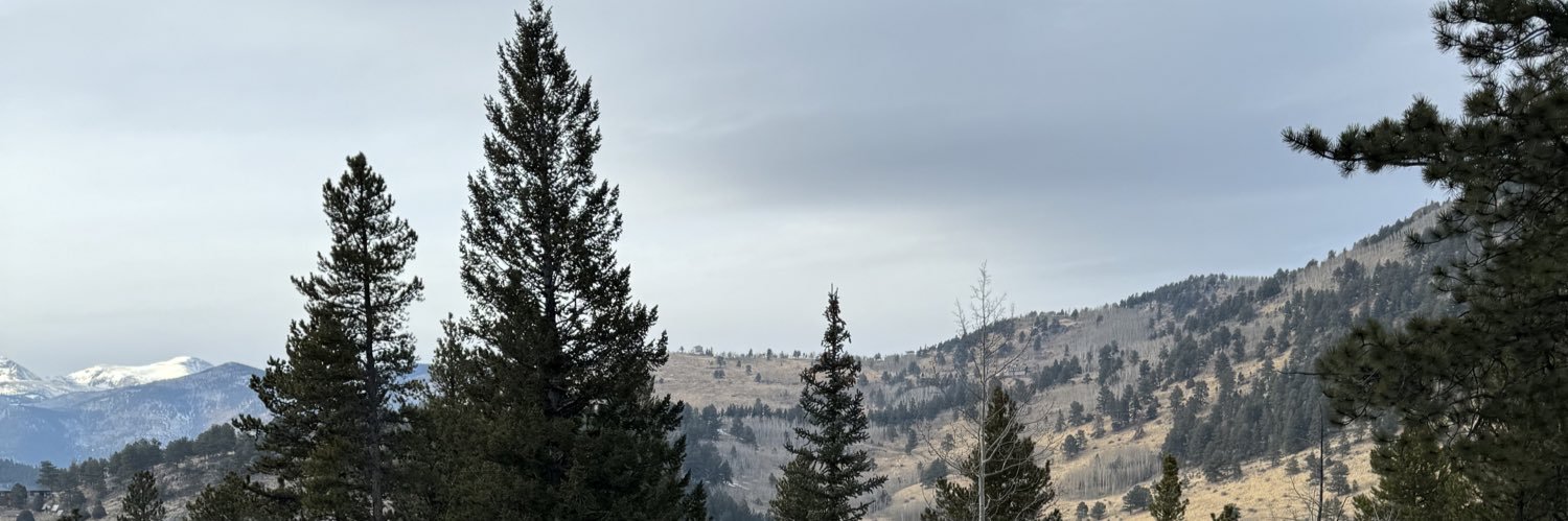 𝒟𝓎𝓁𝒶𝓃 𝐸𝒹𝓌𝒶𝓇𝒹𝓈's banner